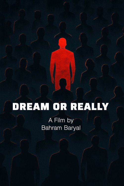 Movie poster for Dream or Reality (2006)
