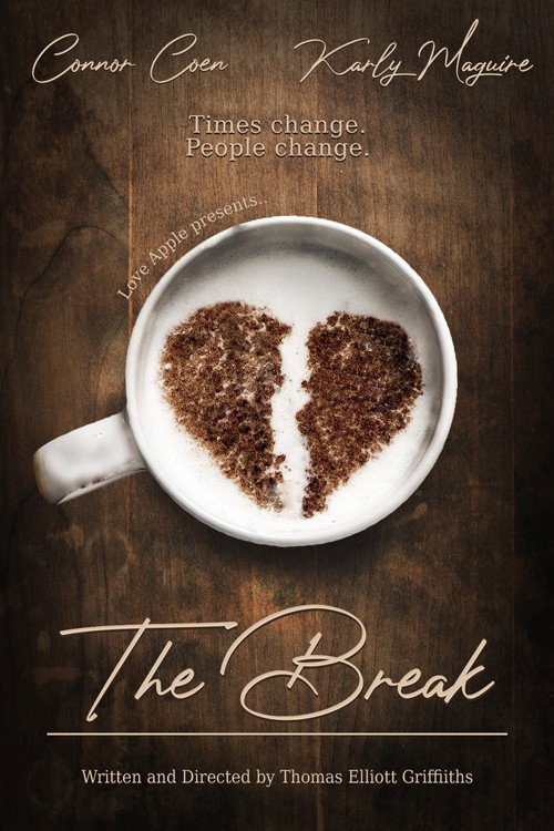 Movie poster for The Break