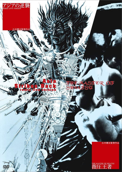Movie poster for The Master of Shiatsu (1989)