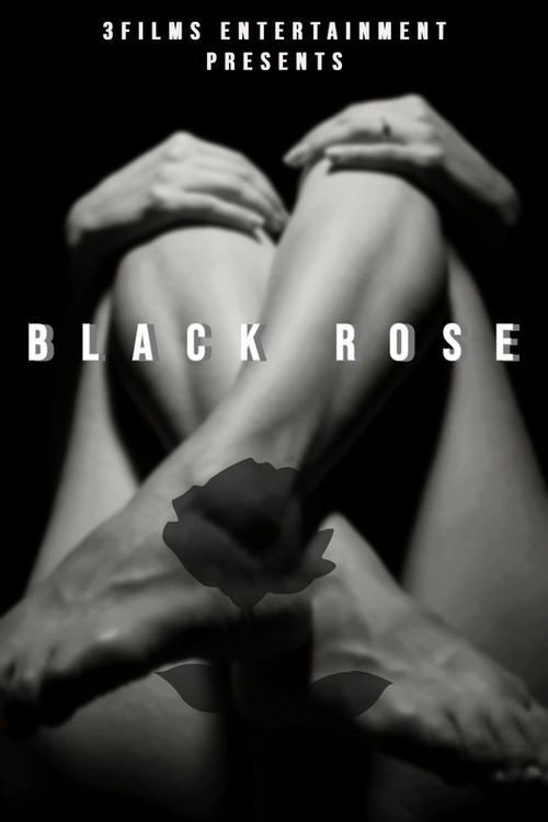 Movie poster for The Black Rose