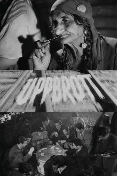 Movie poster for Break Up (1949)