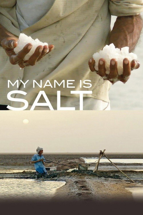 Movie poster for My Name Is Salt (2013)