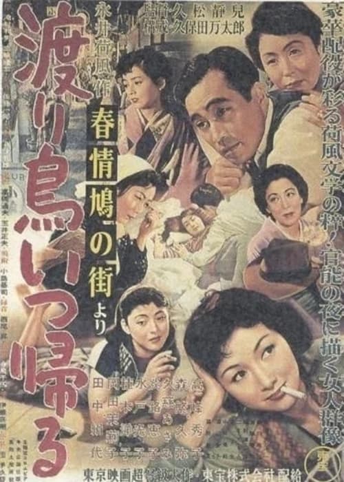 Movie poster for House of Many Pleasures (1955)