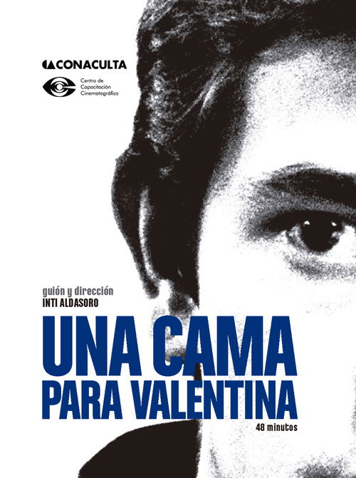 Movie poster for Una cama para Valentina (2011)