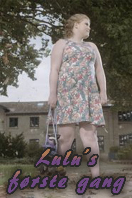 Movie poster for Lulu's First Time (2016)