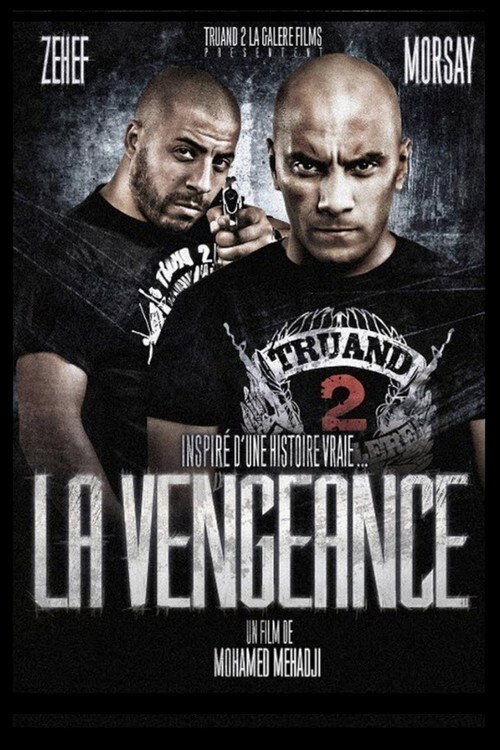 Movie poster for The Vengeance (2011)