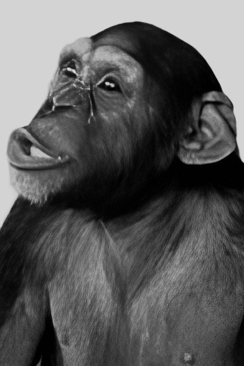 Photo of Tamba, Acting