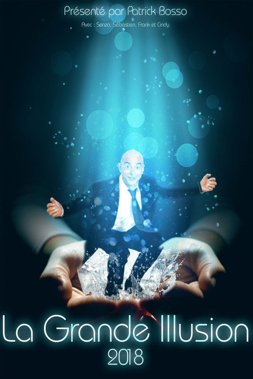 Movie poster for La grande illusion (2018)