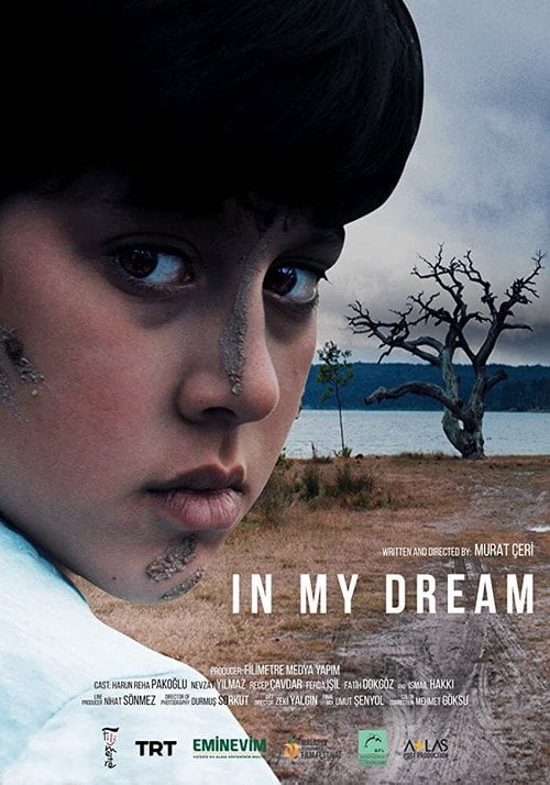 Movie poster for In My Dream (2020)