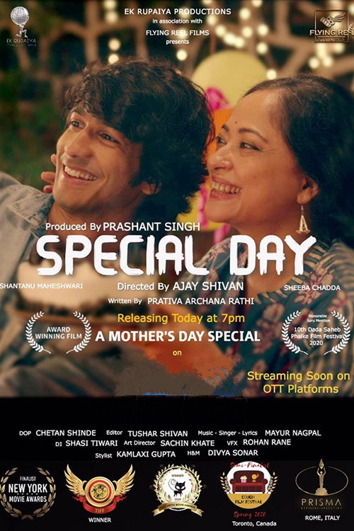 Movie poster for Special Day (2020)