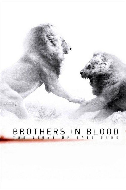 Movie poster for Brothers in Blood: The Lions of Sabi Sand (2015)
