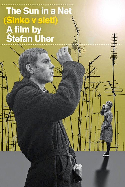Movie poster for The Sun in a Net (1963)