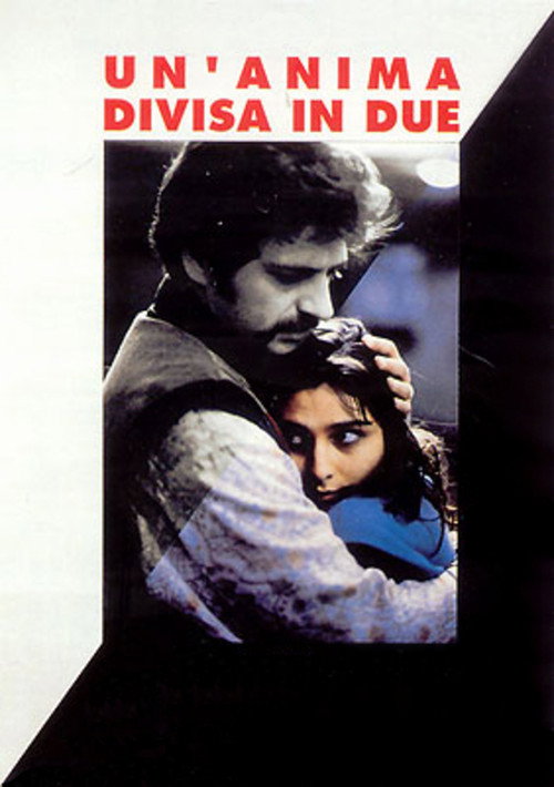 Movie poster for A Soul Split in Two (1993)