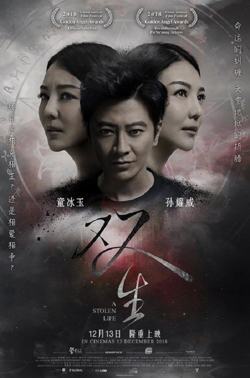 Movie poster for A Stolen Life (2018)