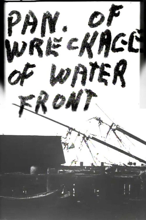 Movie poster for Panorama of Wreckage of Water Front (1900)