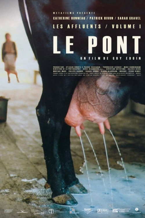 Movie poster for Les Affluents - Volume 1: Le pont (2004)
