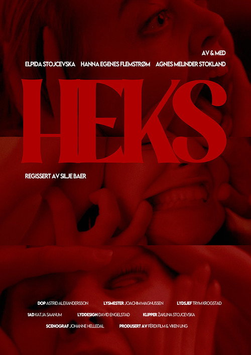 Movie poster for Heks