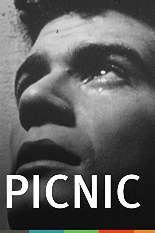Movie poster for Picnic (1949)