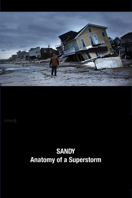 Movie poster for Sandy: Anatomy of a Superstorm (2012)
