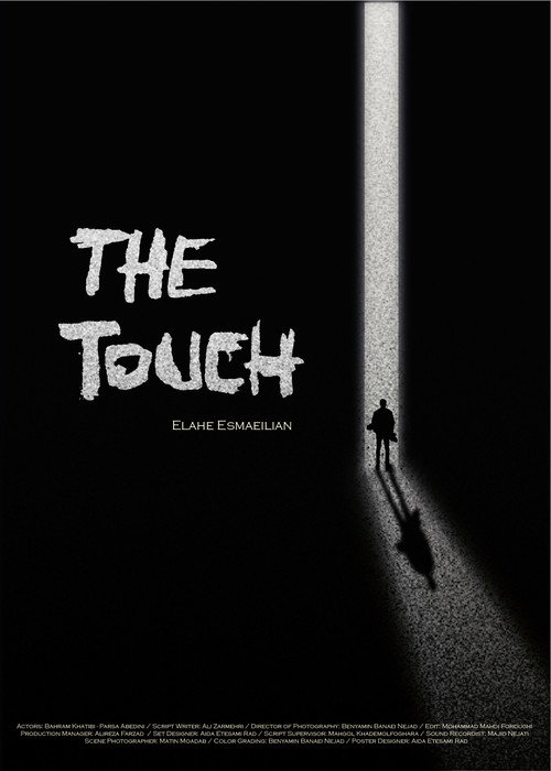 Movie poster for The Touch