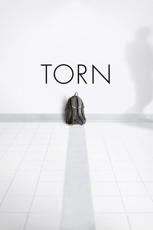 Movie poster for Torn (2013)