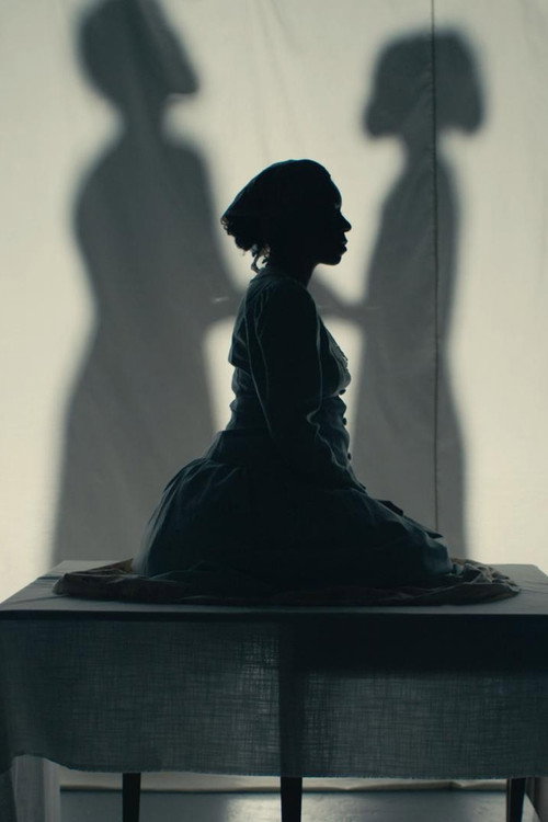 Movie poster for Bone Black: Midwives vs. the South (2023)