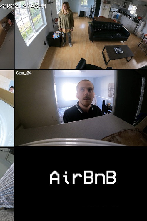 Movie poster for AirBnb (2023)