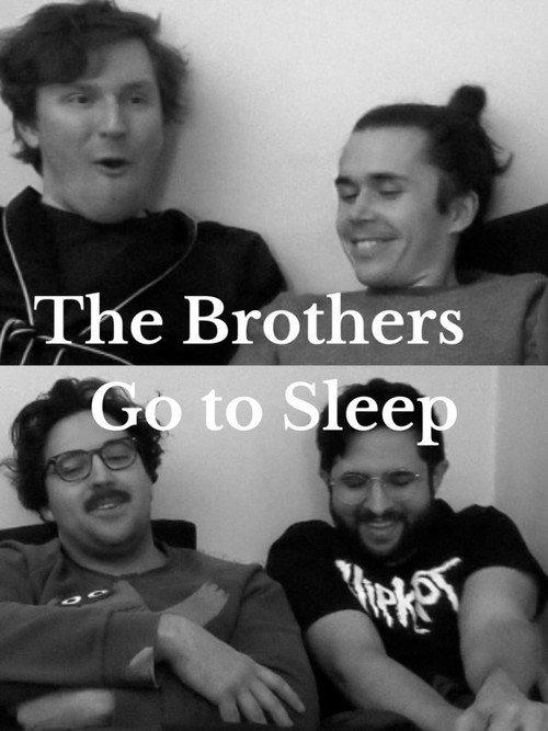 Movie poster for The Brothers Go to Sleep (2022)
