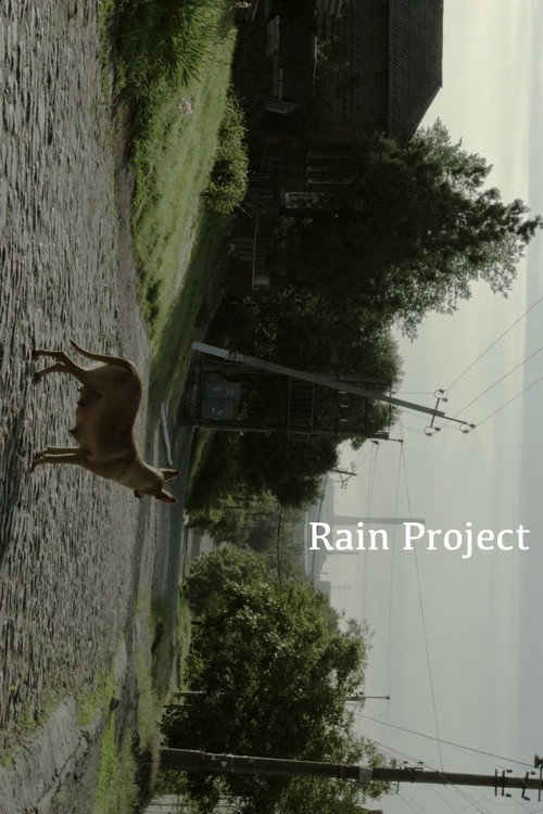 Movie poster for Rain Project (2017)