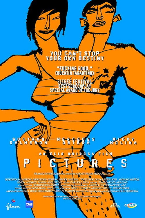 Movie poster for Pictures (1996)