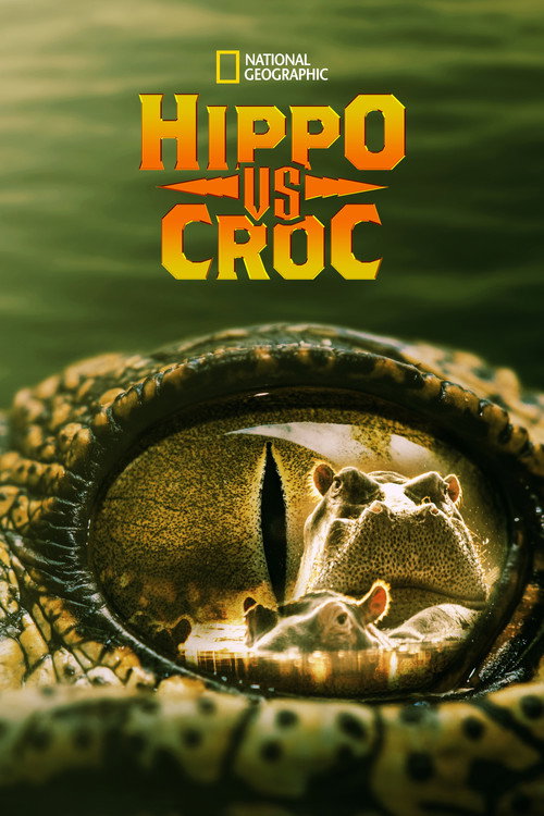 Movie poster for Hippo vs Croc (2014)