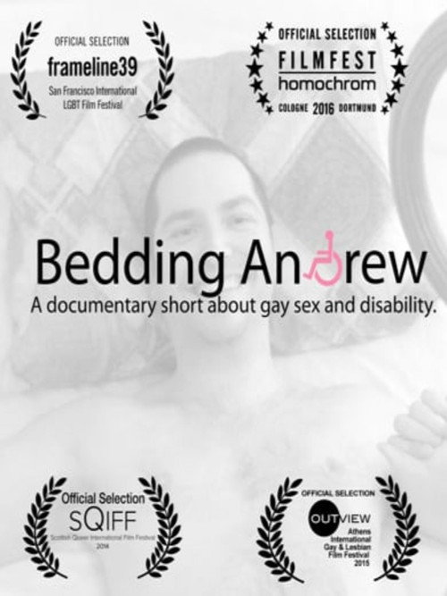 Movie poster for Bedding Andrew (2016)