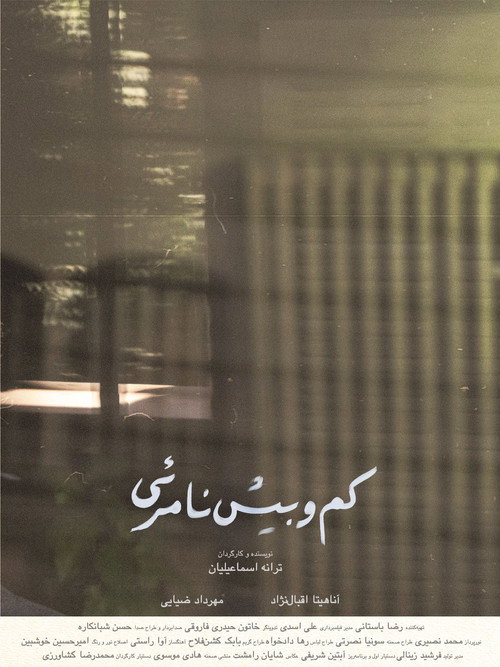 Movie poster for Almost Intangible (2024)