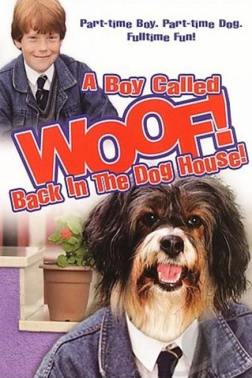 Movie poster for A Boy Called Woof! (1991)