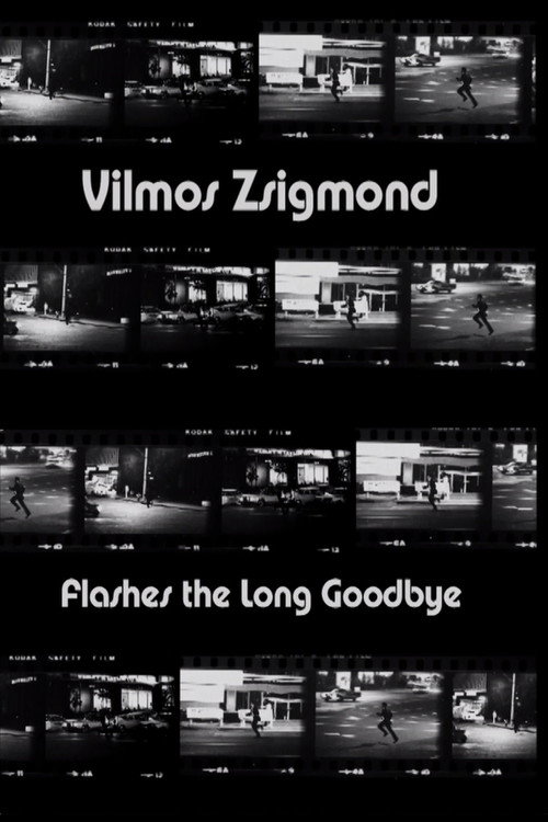 Movie poster for Vilmos Zsigmond Flashes 'The Long Goodbye' (2002)