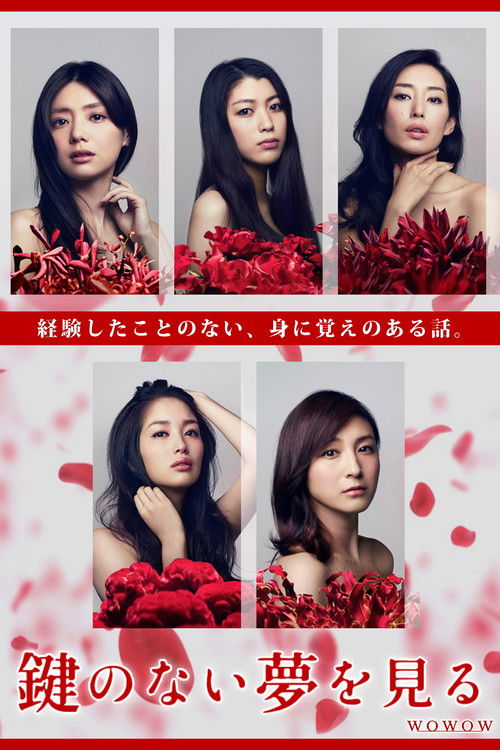 Kagi no nai Yume wo Miru poster