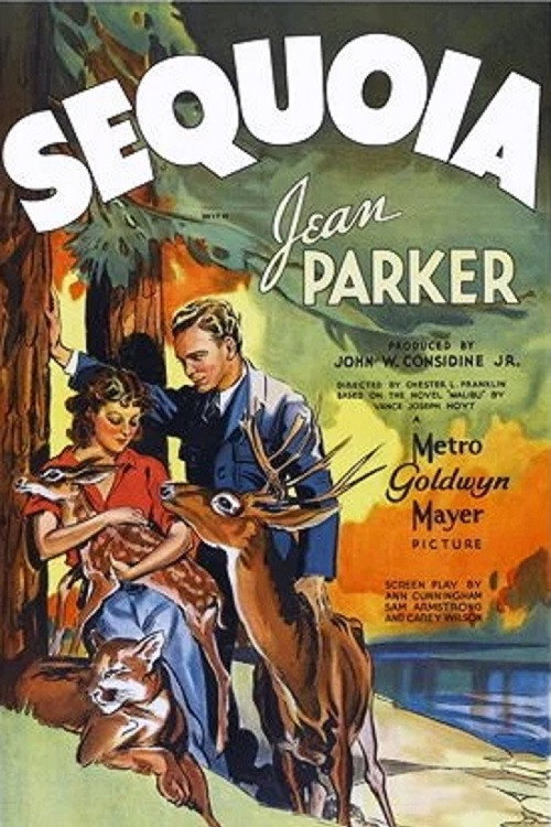 Movie poster for Sequoia (1935)