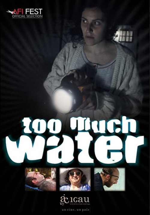 Movie poster for Too Much Water (2012)