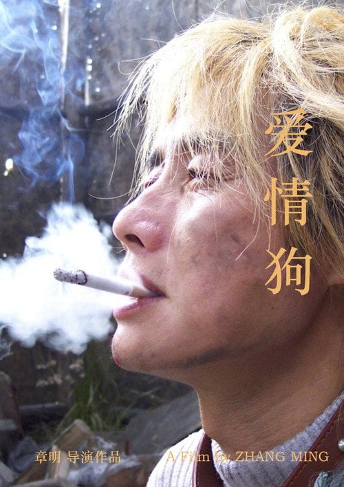 Movie poster for The Love Dog (2009)
