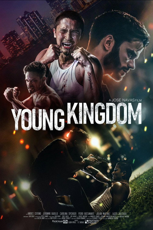Movie poster for Young Kingdom