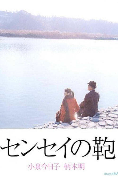 Movie poster for Teacher's suitcase (2003)