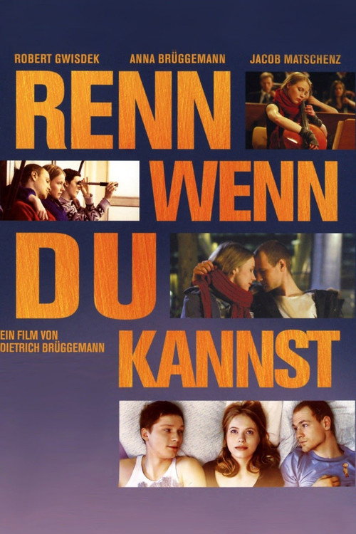 Movie poster for Run If You Can (2010)