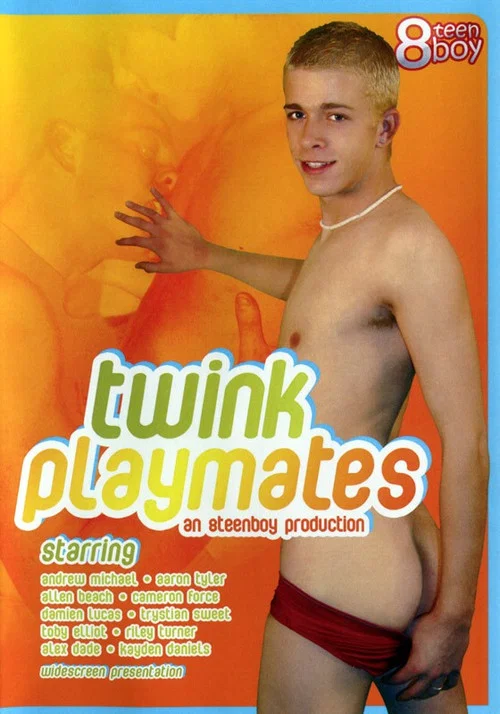 Movie poster for Twink Playmates (2007)