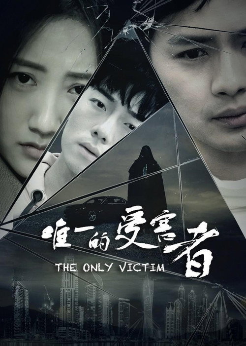 Movie poster for The Only Victim (2020)