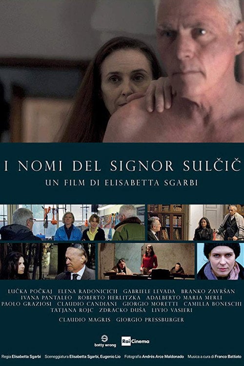 Movie poster for The Names of Mr. Sulcic (2019)