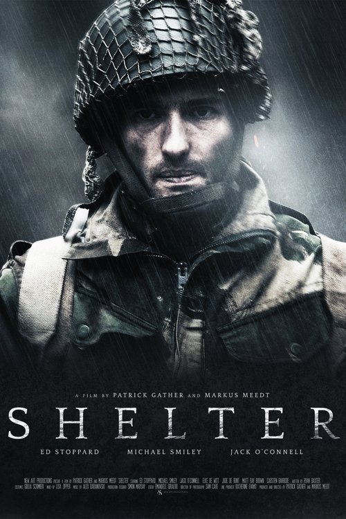 Movie poster for Shelter (2014)