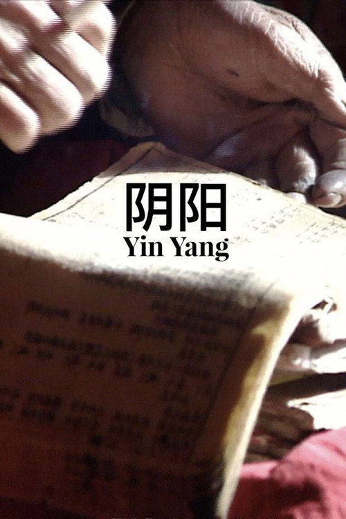 Movie poster for Yin Yang (1997)