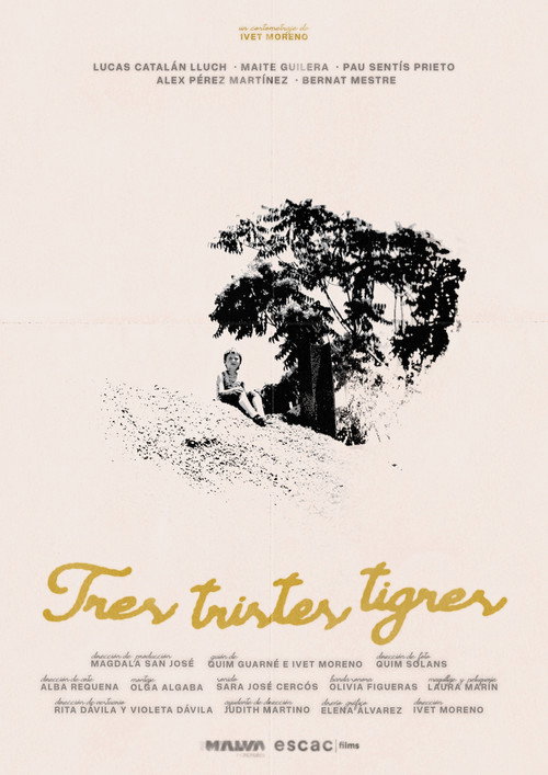 Movie poster for Three sad tigers (2026)