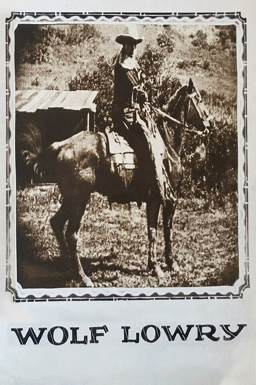 Movie poster for Wolf Lowry (1917)