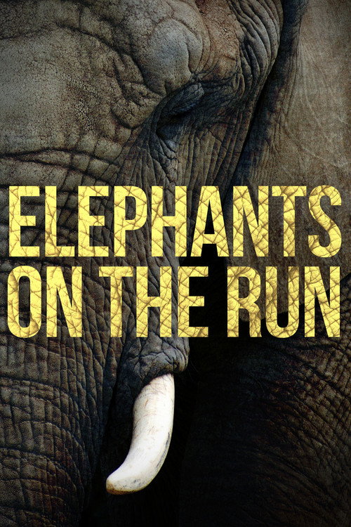 Movie poster for Elephants on the Run